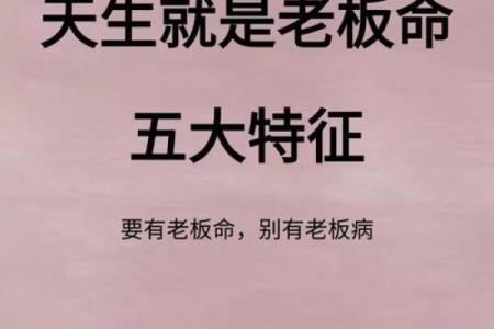 揭秘命理八字:如何运用其商业模式助你成功创业!