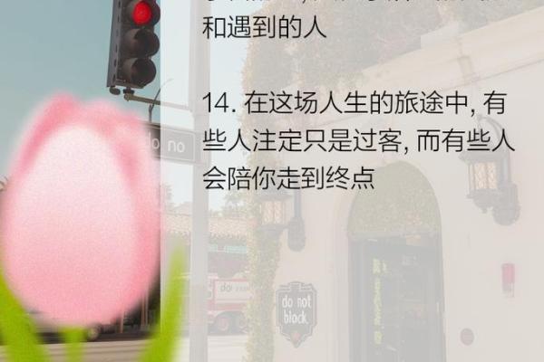 探索“离祖成家之命”：寻觅人生新方向的旅程