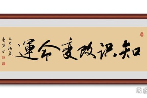 命运的指引：理解“命”在生活中的重要性与意义
