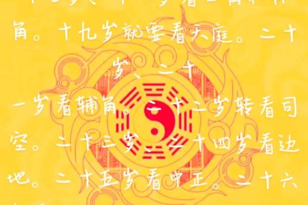 农历十三出生的命运解析与人生运势