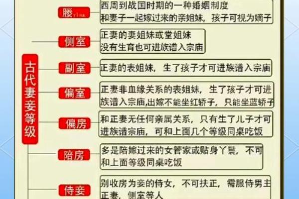 探讨古代宫廷礼仪：命妇入宫自称的文化意义与演变