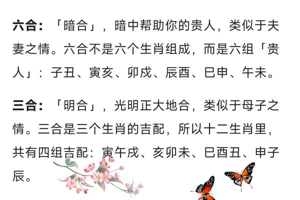 命理中的男命忌属相与女命的相生相克探讨