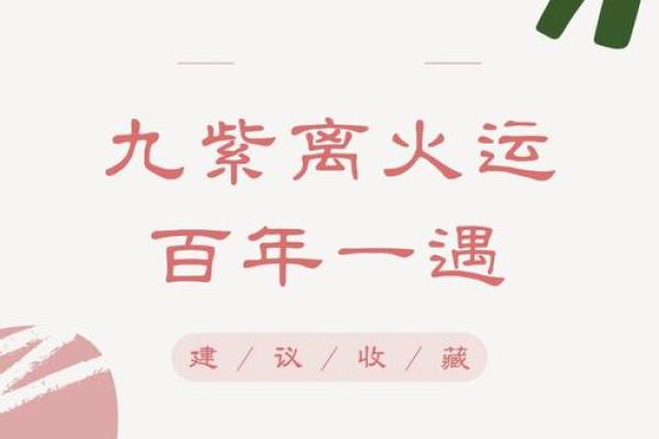 探索九紫离命的奥秘
