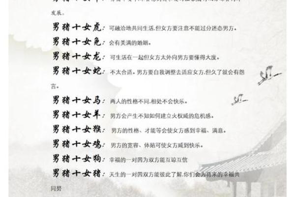 1991年猪年五行属什么命格：解读猪年的命理密码