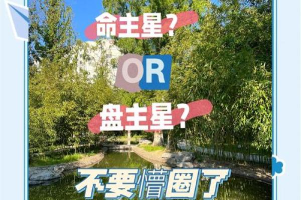 命局解析：探讨最旺子女命的奥秘与启示
