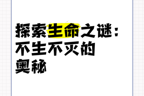 揭示命理之谜：999的深远象征与人生启示