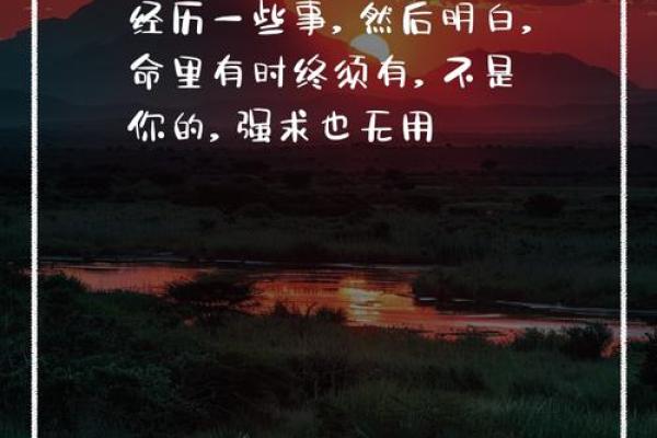命里有时终须有，人生的智慧与哲理探讨