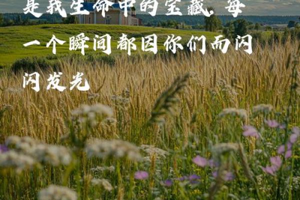 相依相伴：生命中不可或缺的字