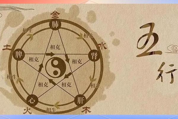 探索命运的奢华：解读“命很贵气”的深刻含义