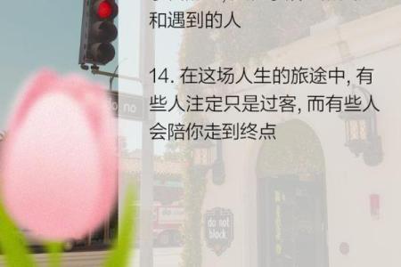 探索“离祖成家之命”:寻觅人生新方向的旅程