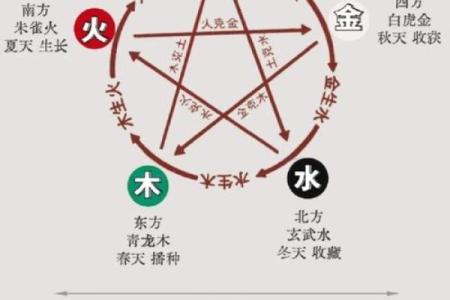 探索命卦中的内外五行,揭示生命的奥秘与和谐之道