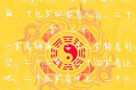 农历十三出生的命运解析与人生运势
