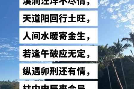 女命地支水旺的深意与生活启示