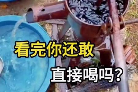 命里喝一家井水,解读命运与缘分的深意