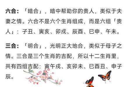命理中的男命忌属相与女命的相生相克探讨