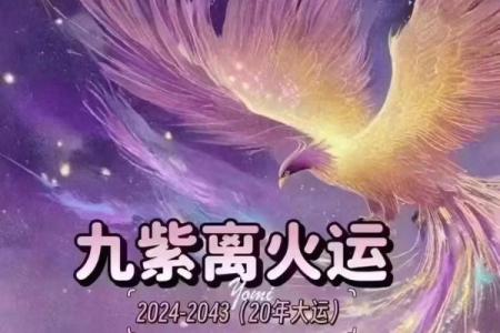 探索九紫离命的奥秘