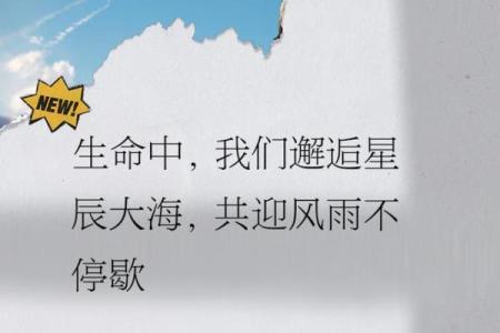 关爱生命:每一次伸出援手都是一份温暖的希望