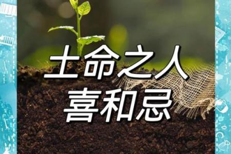 木命与土命的职业选择:发现适合你的事业之路