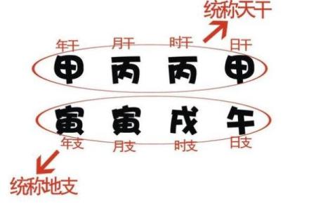 女命日支月支相害解析:命理背后的情感波折与机遇