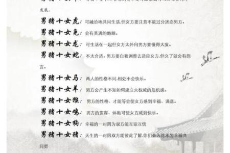 1991年猪年五行属什么命格:解读猪年的命理密码