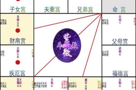 探秘命理中的夫妻宫：揭示爱情与婚姻的秘密