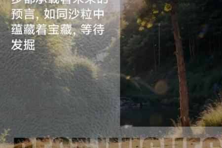 2024年属虎宝宝的命格解析:未来的星辰与命运之路