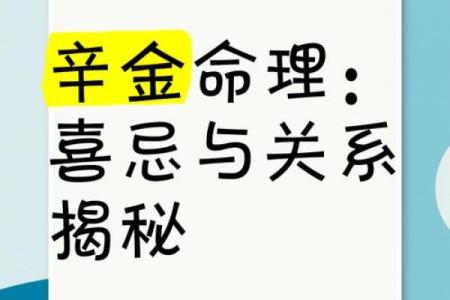 命理学揭秘:探寻你我皆有的命运之路