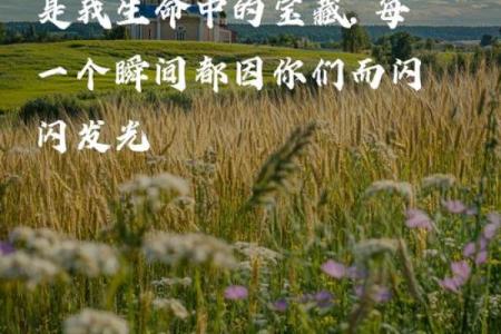 相依相伴：生命中不可或缺的字