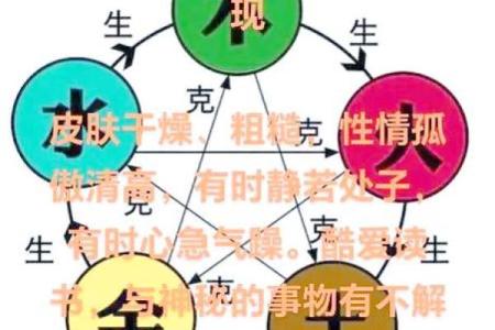 火木木命的深度解析:解读性格与命运的独特关系