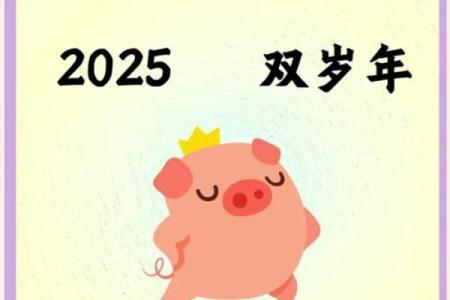 1996年猪年出生的五行命理解析与人生运势