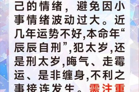 2024年是龙年，属龙的人命运解析与人生启示