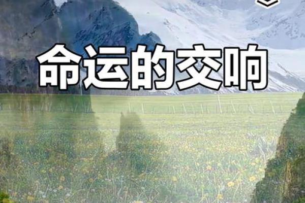 合命之道：探索两个人的命运交织与默契情感