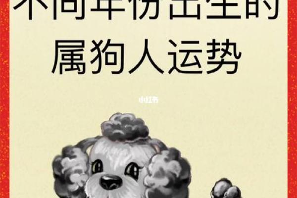 探寻命运之旅：走进1994年一月的生肖与命理世界
