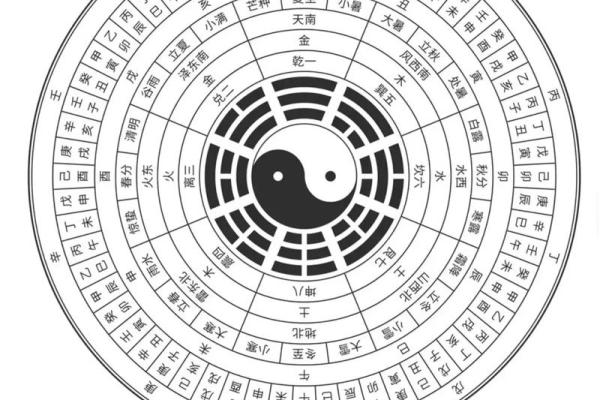 探寻命局中的阴阳平衡，揭示人生的和谐美学