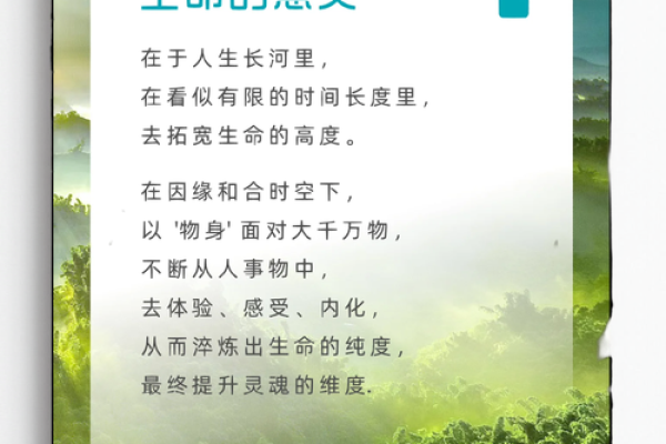 解读一九七九年出生者的命格与人生轨迹