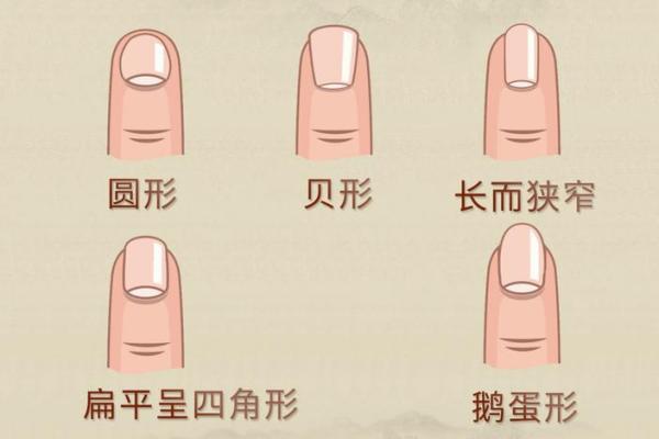 透过指甲看命运：你的指甲透露了哪些秘密？