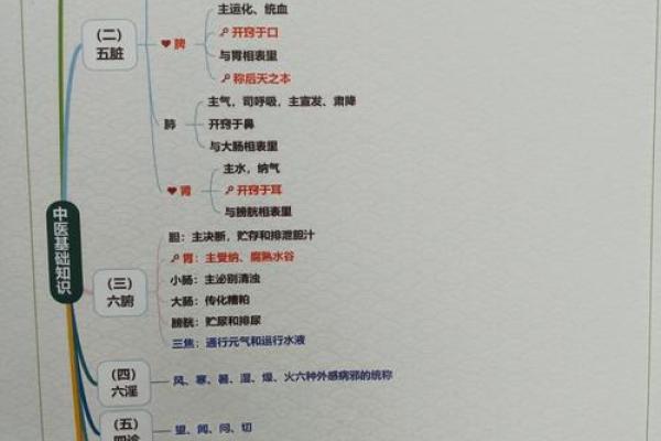 命里有水与木的运势解析，如何巧妙利用五行之力！