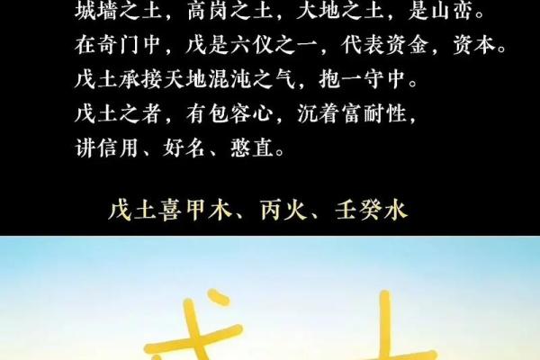 命里有水与木的运势解析，如何巧妙利用五行之力！