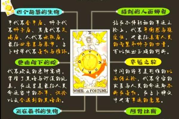 探索命理学：根据出生地点揭示你的命运奥秘