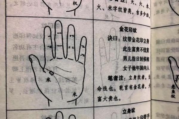 男人手相掌纹烦乱，揭示命运的奥秘与人生的起伏