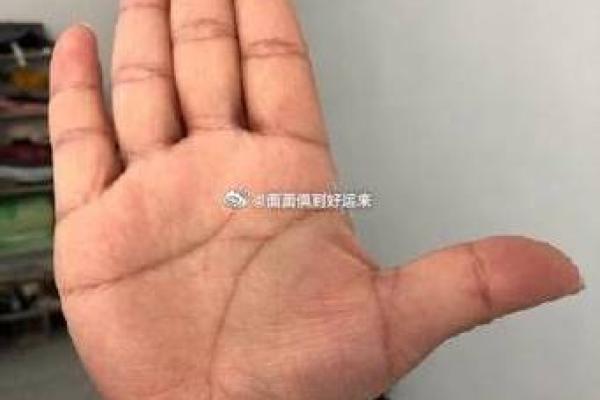 男人手相掌纹烦乱，揭示命运的奥秘与人生的起伏