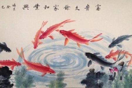 金鱼行业与五行的秘奥秘：掌握命理提升养鱼技巧
