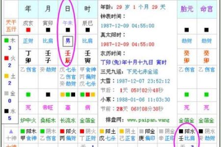1987年农历出生的人命运解析:如何运用自身特点提升人生价值
