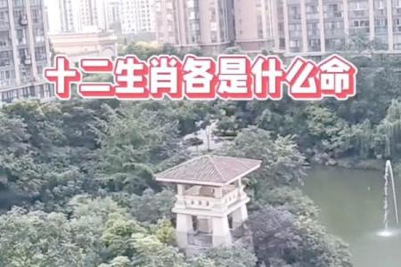 探寻命运之旅：走进1994年一月的生肖与命理世界