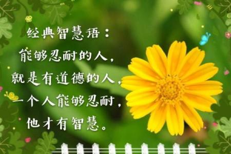 探索九死一生命格的奥秘与价值:生活中的勇气与智慧