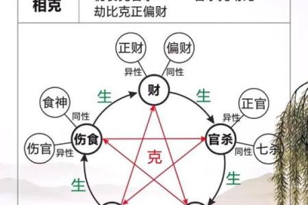 女命正印在命理学中的学业象征及其影响分析