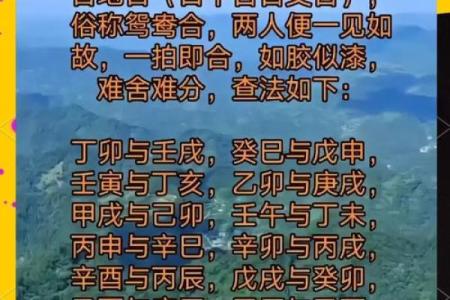探讨木命与其他命相合婚的奥秘与建议