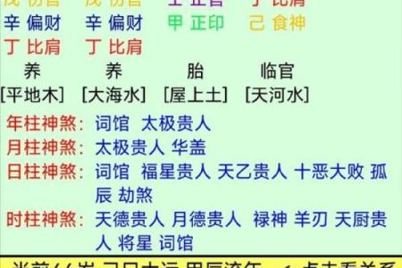 命理中“月移花影”的深刻含义与启示探索