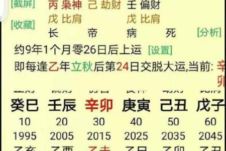 揭秘女命甲木的七杀命格:智慧与挑战的结合