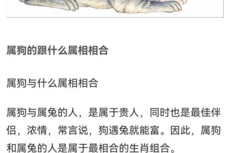 1994年属狗人五行解析:你的命运密码与生活智慧